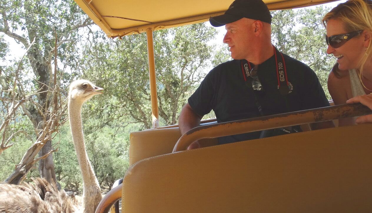 Animal-Park-Zoo-Safari-Wes-Jeep-Tour.jpeg