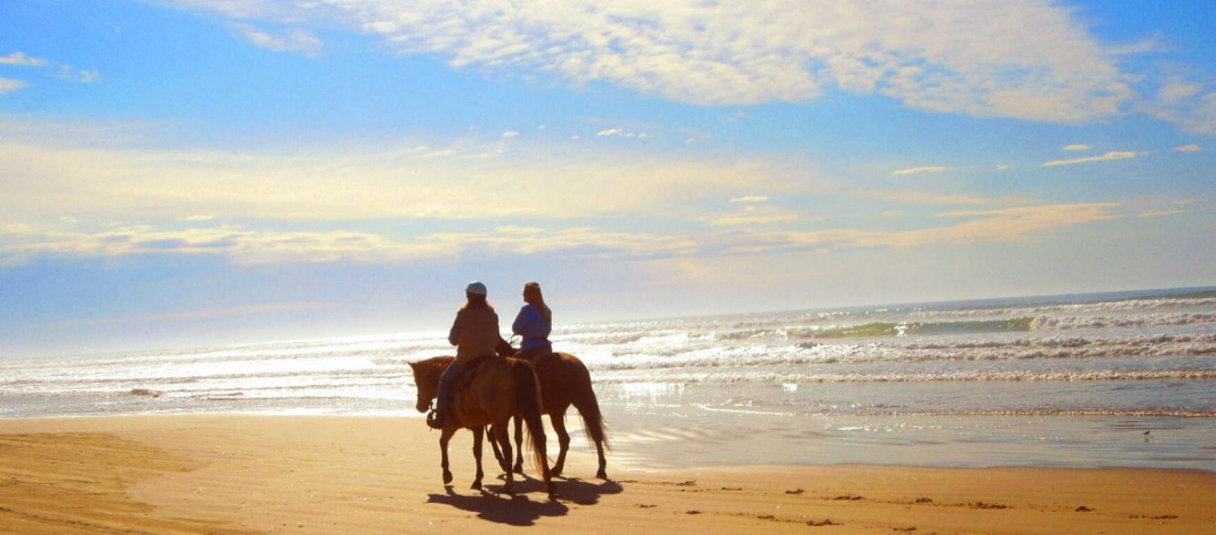 Best-Horseback-Rides-MuirWoods.jpg