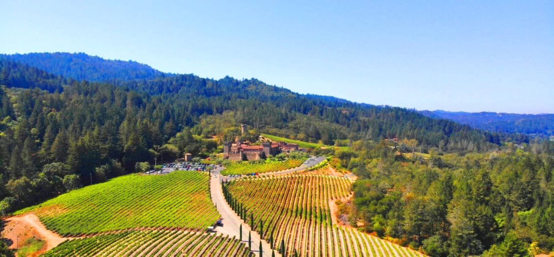 California-Wine-Country-Luxury-Private-Tours