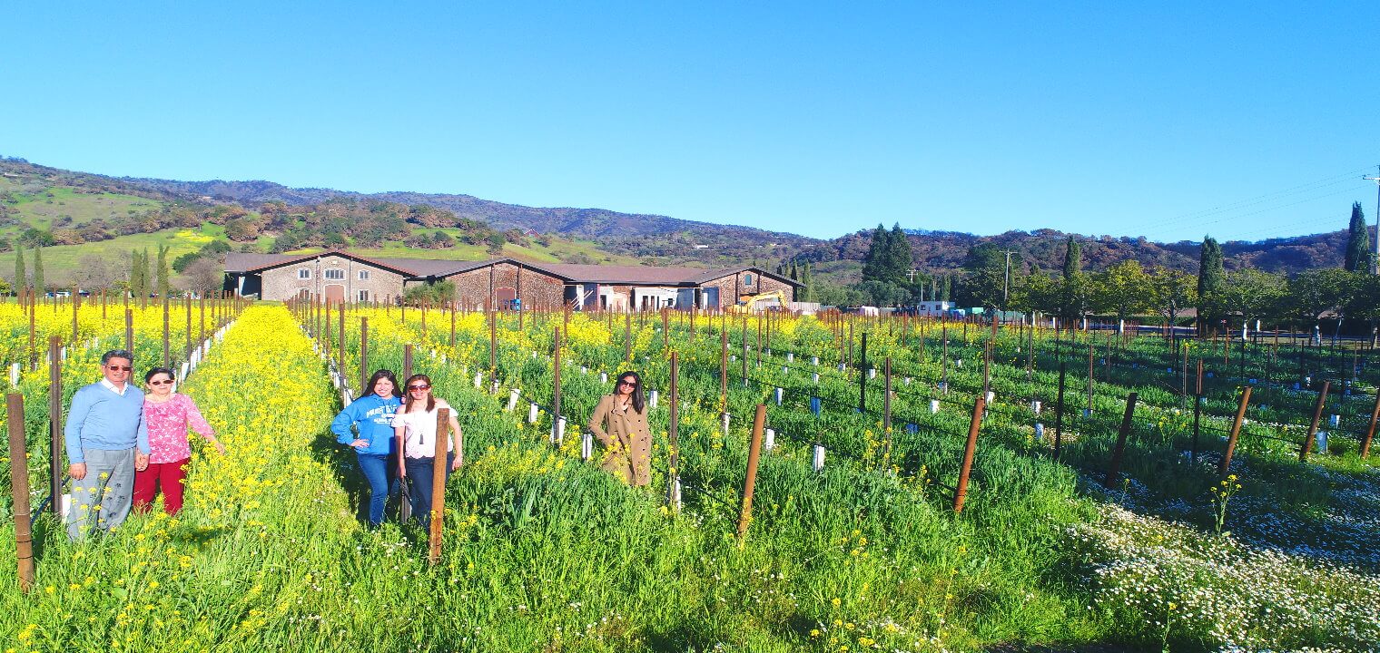 Excursion-a-las-regiones-vinícolas-del-valle-de-Sonoma