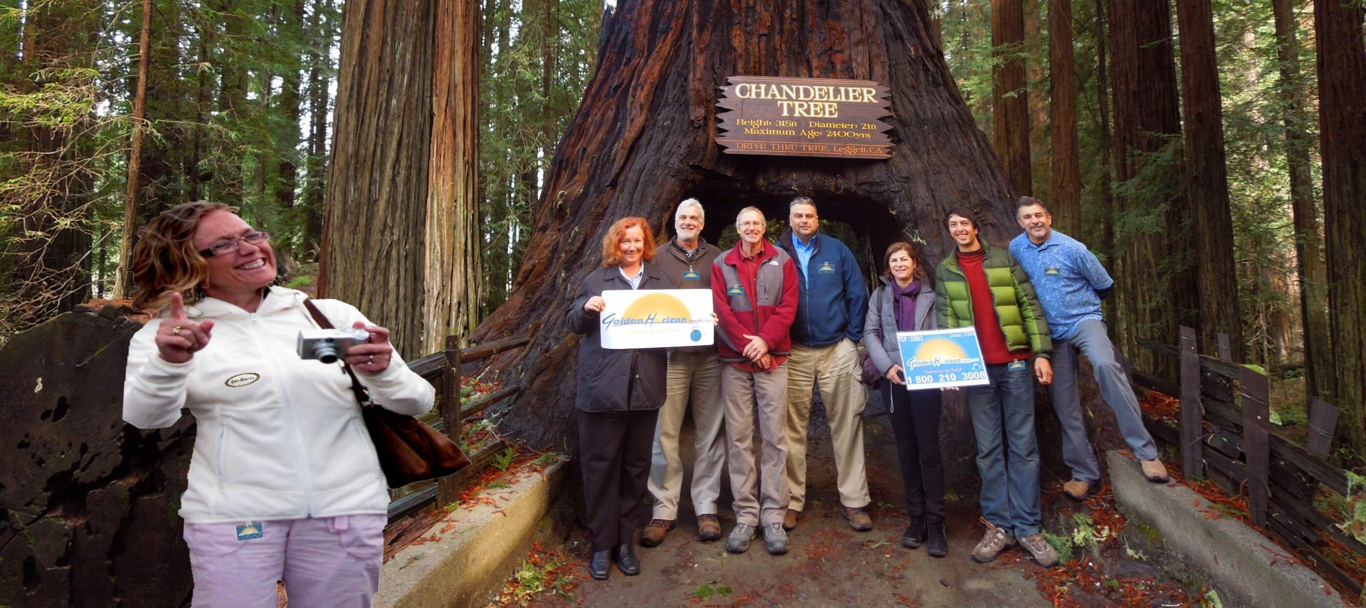 Redwood-National-Parks