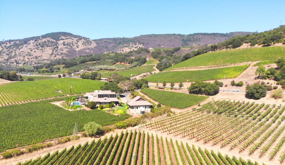 Travel-Guide-To-Wine-Country.jpg