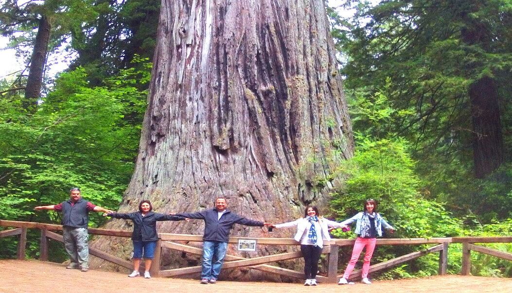 sequoia-national-park-vacation-packages-hotel-yosemite.jpeg