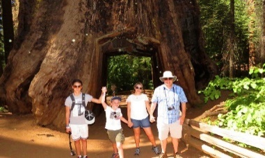 family_travel_guide_to_yosemite_park_and_hotels.jpg