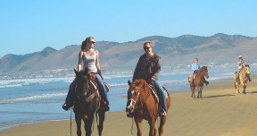 Monter-a-cheval-horseback-rides-big-sur