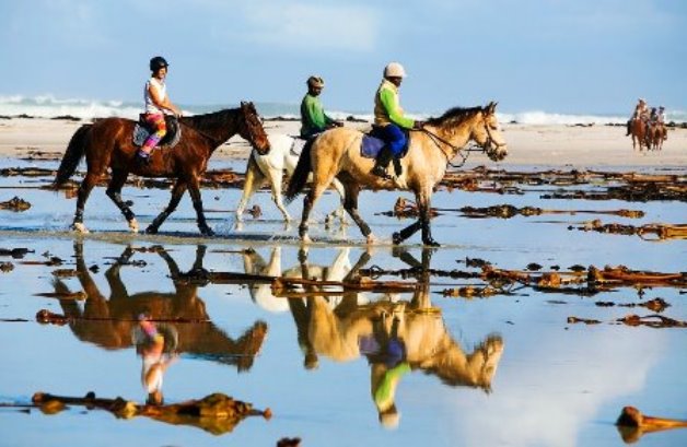 Reiten-amStrand-in-der-Nahe-von-San-Francisco-Bay-Area-und-Monterey.jpg