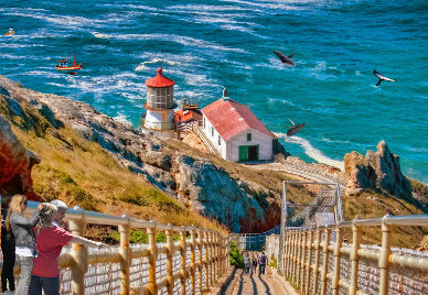 pointreyes-marin-attractions.jpg