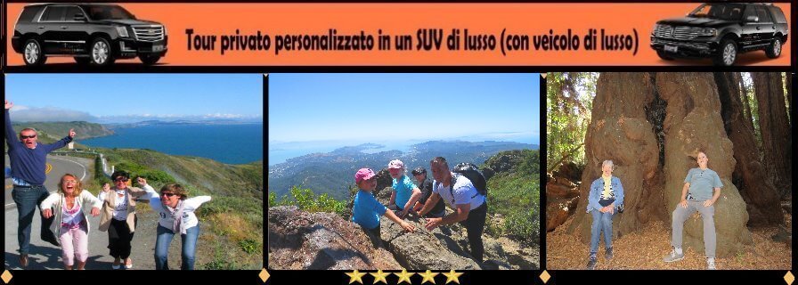 excursions-tour-di-muir-woods-redwoods-point-reyes