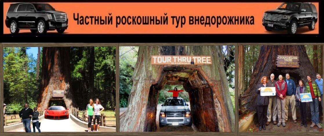 russian-tour-guide-sanfrancisco-alcatraz-muirwoods