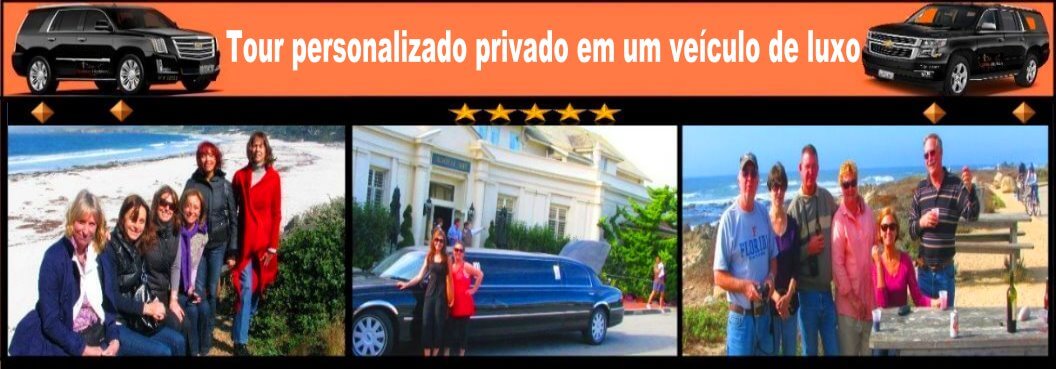 sanfrancisco-visita-guiada-a-monterey-com-big-sur-e-uma-tour-ao-castelo-hearst